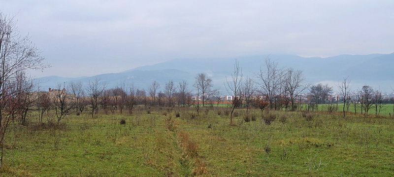 Parco della Piana - Podere della Querciola - Aula didattica